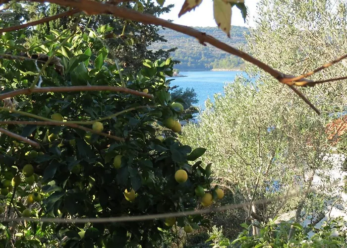 דירה Janja Nečujam