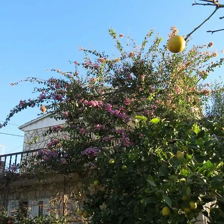 Janja - Terrace Sea View