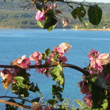 Janja - Terrace Sea View Apartment Necujam