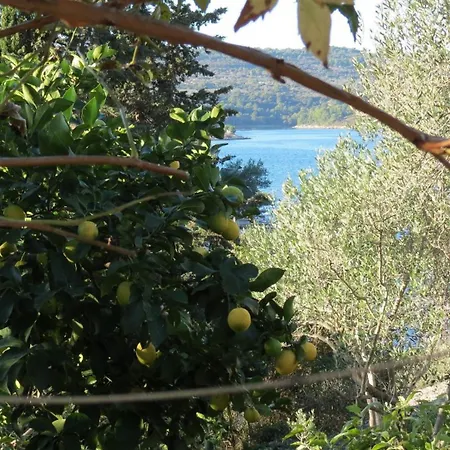 Apartment Janja - Terrace Sea View Necujam